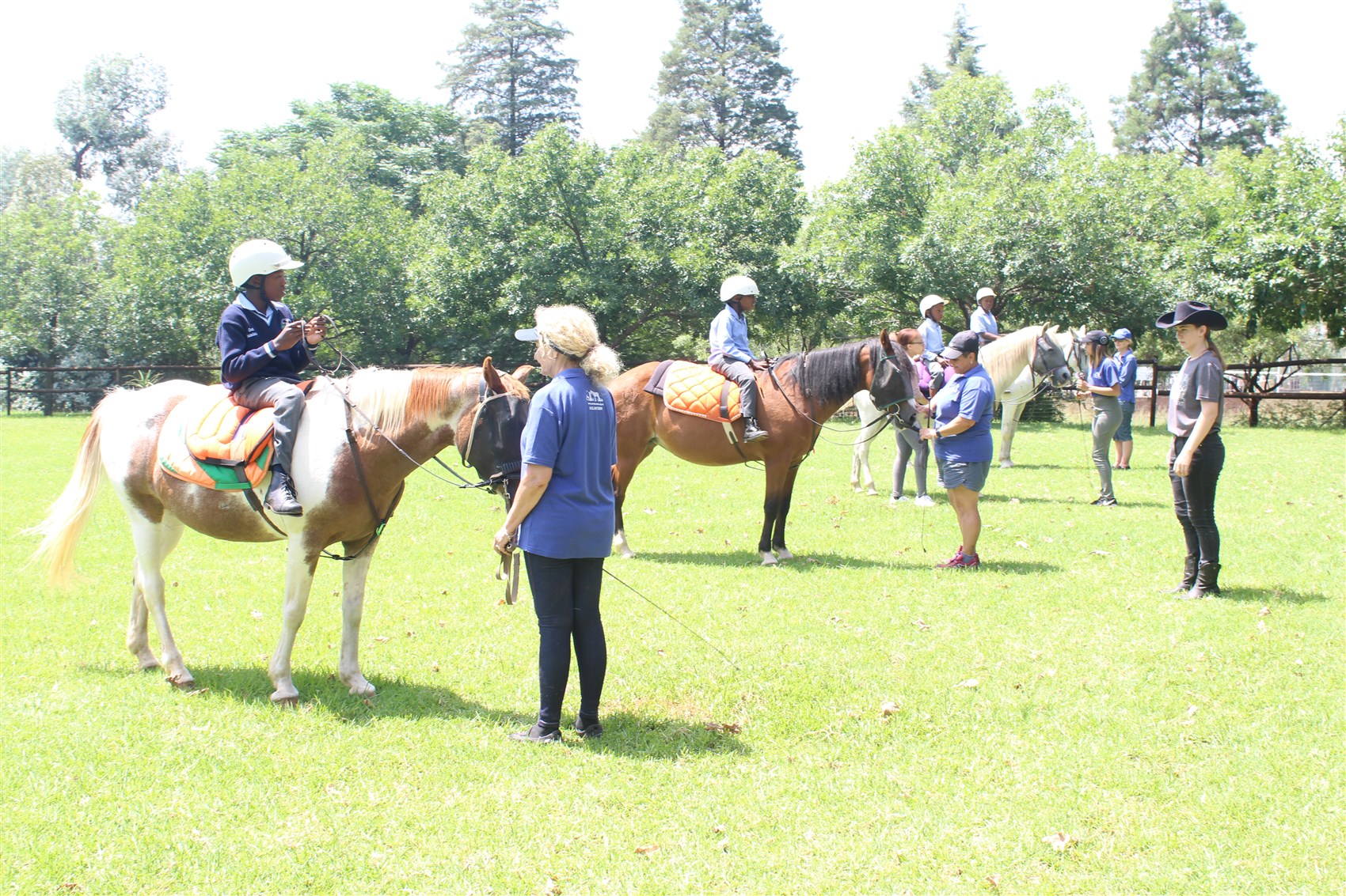The Earth Centre, horse therapy, children with disabilities